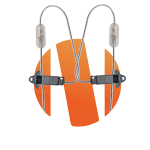 Dual Ear Earpieces
